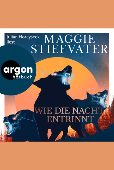 Wie die Nacht entrinnt - Dreamer-Trilogie Band 3 (Ungekürzte Lesung) - cover