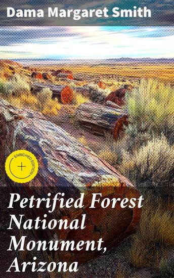 Petrified Forest National Monument Arizona - Journey Through Petrified Wood: A Geological and Literary Exploration of Arizona's National Monument - cover