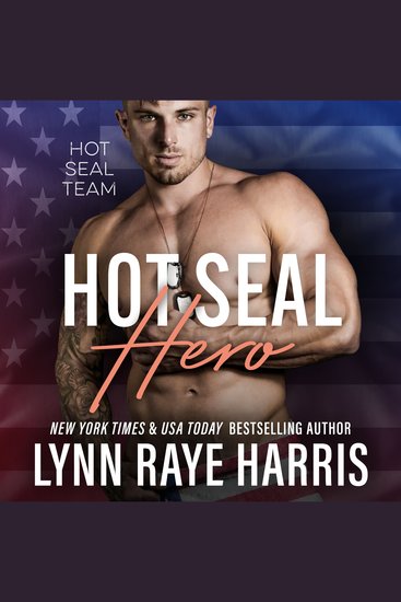 HOT SEAL Hero - A Military Romantic Suspense Novel - cover