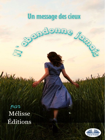 N'Abandonne Jamais - Un Message Des Cieux - cover