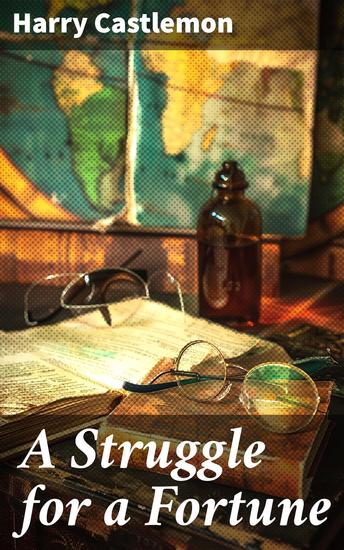 A Struggle for a Fortune - A Quest for Prosperity and Adventure in the 19th Century Wilderness - cover