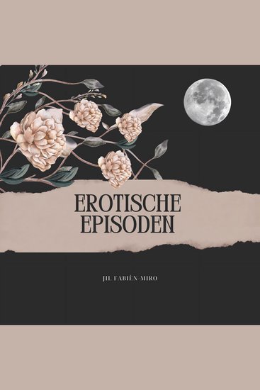 Erotische Episoden - Visualisierung & Vorstellung prickelnder erotischer Momente - cover