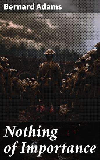 Nothing of Importance - A record of eight months at the front with a Welsh battalion October 1915 to June 1916 - cover