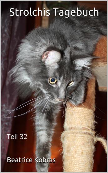 Strolchis Tagebuch - Teil 32 - cover