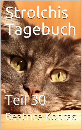 Strolchis Tagebuch - Teil 30 - cover