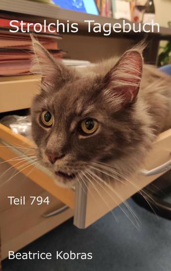 Strolchis Tagebuch - Teil 794 - cover