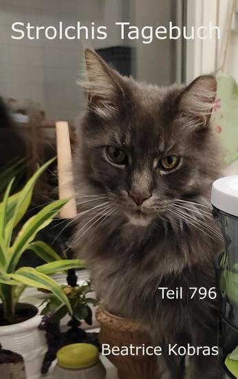 Strolchis Tagebuch - Teil 796 - cover
