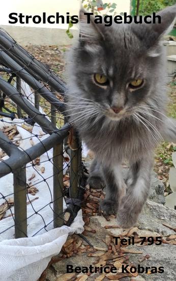 Strolchis Tagebuch - Teil 795 - cover