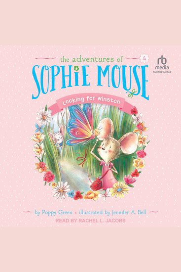 Looking for Winston - cover