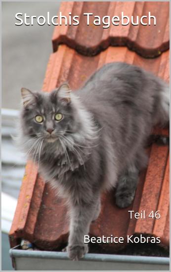 Strolchis Tagebuch - Teil 46 - cover