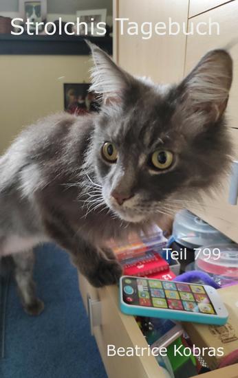 Strolchis Tagebuch - Teil 799 - cover