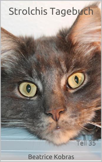 Strolchis Tagebuch - Teil 35 - cover