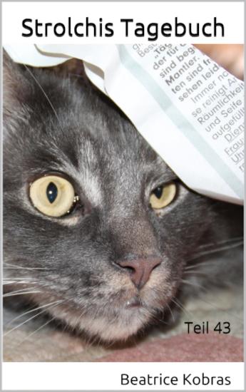 Strolchis Tagebuch - Teil 43 - cover