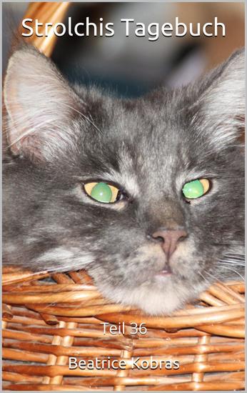 Strolchis Tagebuch - Teil 36 - cover