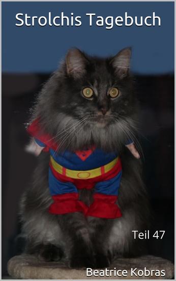 Strolchis Tagebuch - Teil 47 - cover
