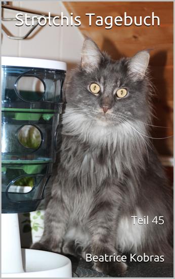 Strolchis Tagebuch - Teil 45 - cover