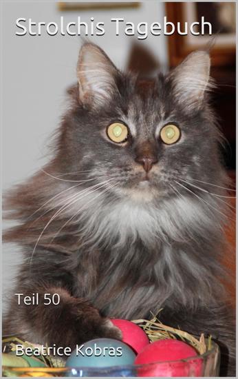 Strolchis Tagebuch - Teil 50 - cover