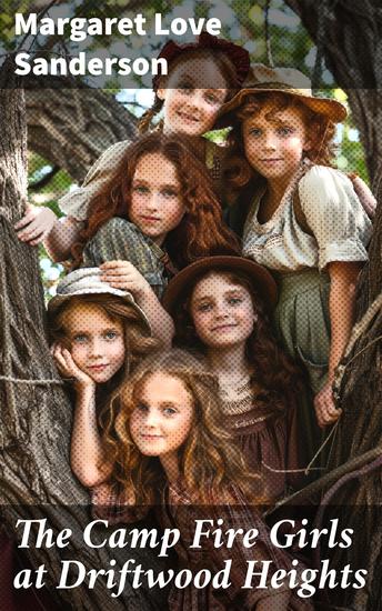 The Camp Fire Girls at Driftwood Heights - A Heartwarming Camping Adventure with Friendship and Adventure - cover