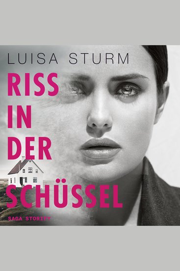 Riss in der Schüssel - cover