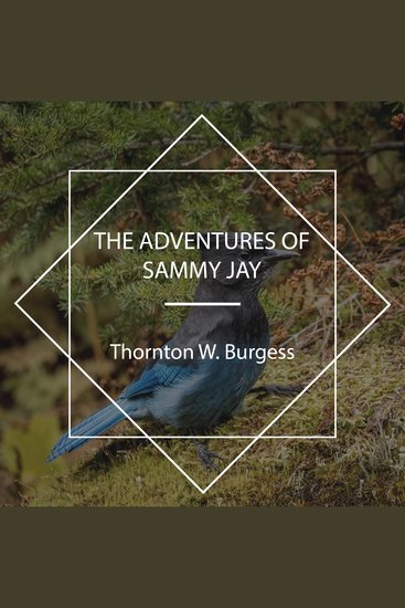 The Adventures of Sammy Jay - cover