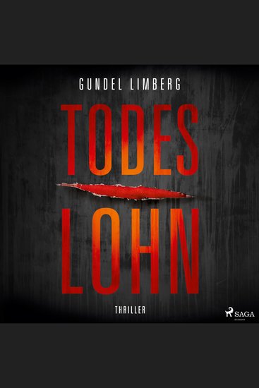 Todeslohn: Thriller - cover