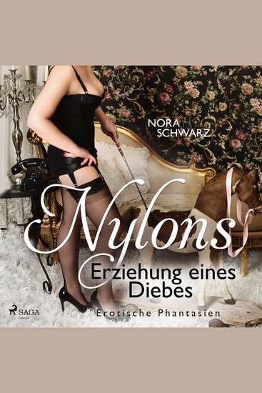 Nylons: Erziehung eines Diebes - Erotische Phantasien - cover