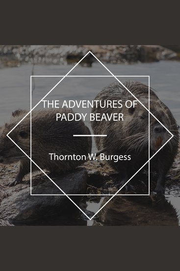 The Adventures of Paddy Beaver - cover