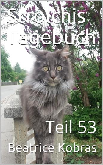 Strolchis Tagebuch - Teil 53 - cover