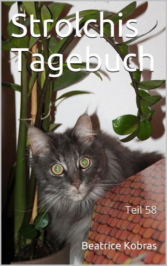 Strolchis Tagebuch - Teil 58 - cover