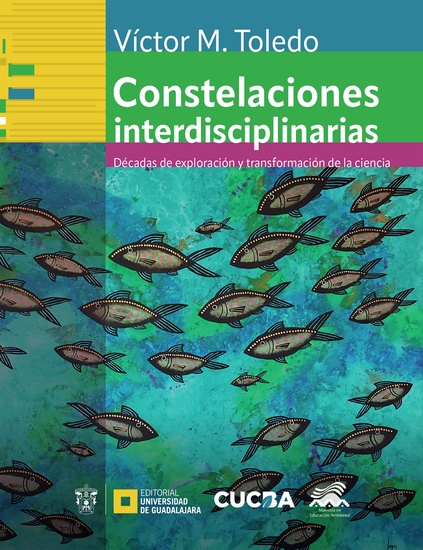 Constelaciones interdisciplinarias - Décadas de exploración y transformación de la ciencia - cover