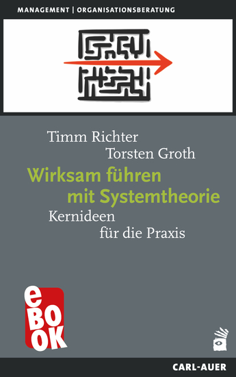 Wirksam führen mit Systemtheorie - Kernideen für die Praxis - cover