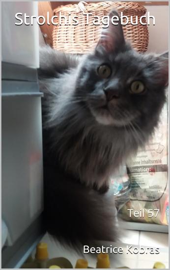 Strolchis Tagebuch - Teil 57 - cover