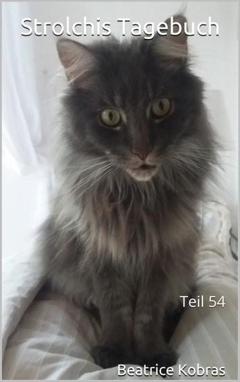 Strolchis Tagebuch - Teil 54 - cover