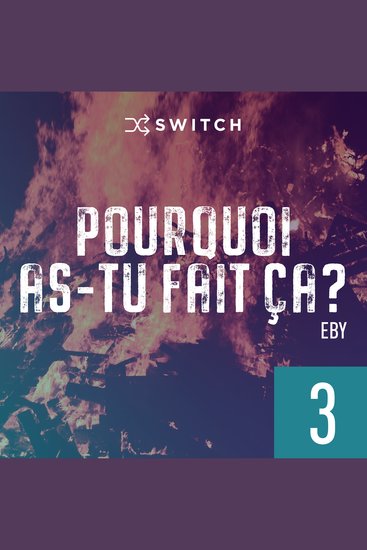 Pourquoi as-tu fait ça 3 - cover