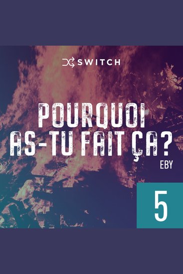 Pourquoi as-tu fait ça 5 - cover