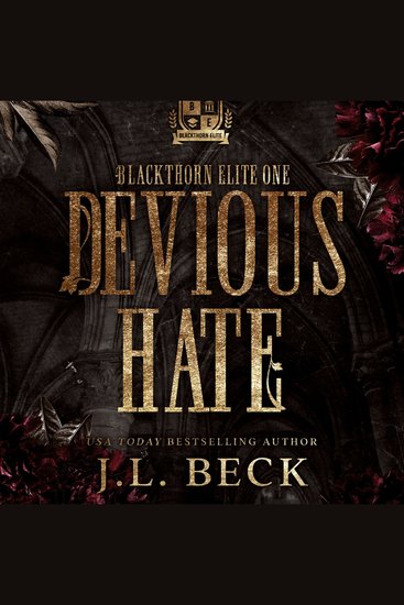Devious Hate - A Dark Bully Romance - cover