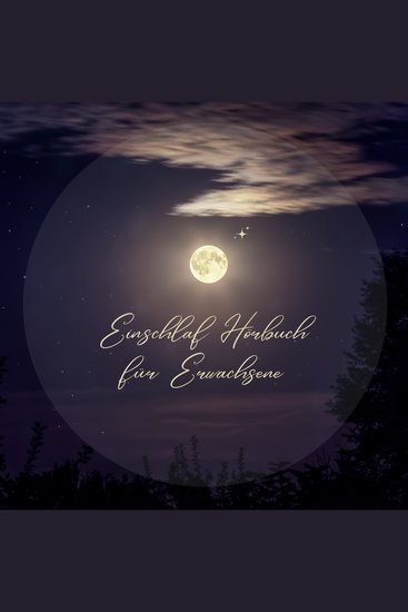 Einschlaf Hörbuch für Erwachsene - Eine berührende Meditation zum friedvollen Einschlafen - cover