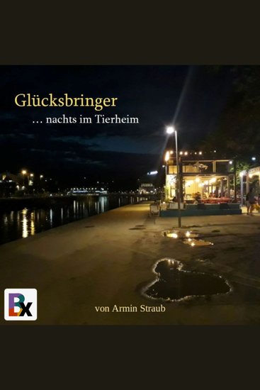 Glücksbringer - cover