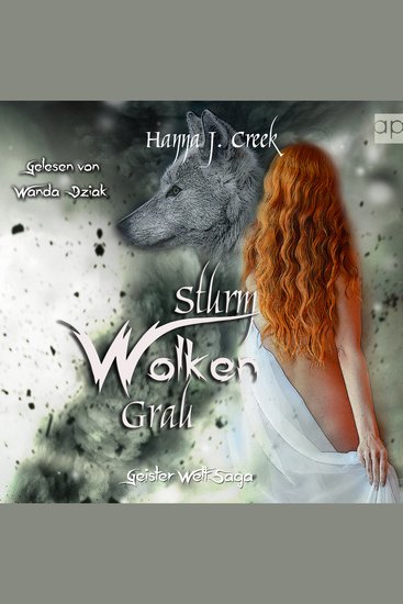 SturmWolkenGrau - cover