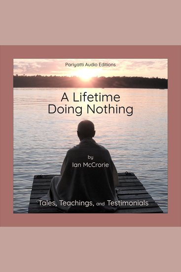 A Lifetime Doing Nothing - Tales Teachings and Testimonials - cover
