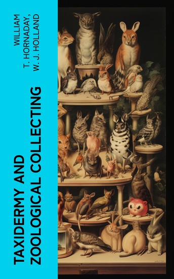 Taxidermy and Zoological Collecting - A Complete Handbook for the Amateur Taxidermist Collector Osteologist Museum-Builder Sportsman and Traveller - cover