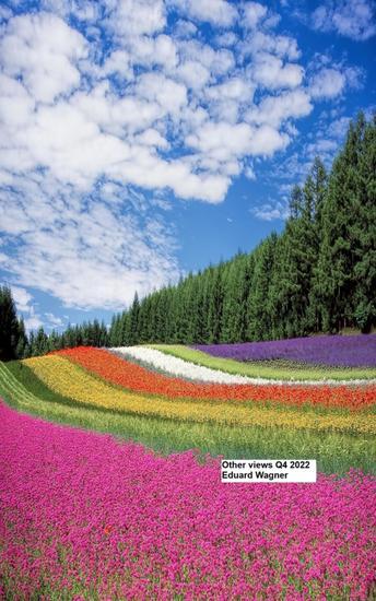 Other views Q4 2022 - cover