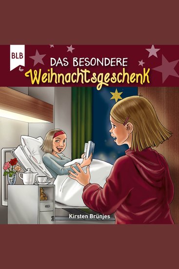 Das besondere Weihnachtsgeschenk - cover
