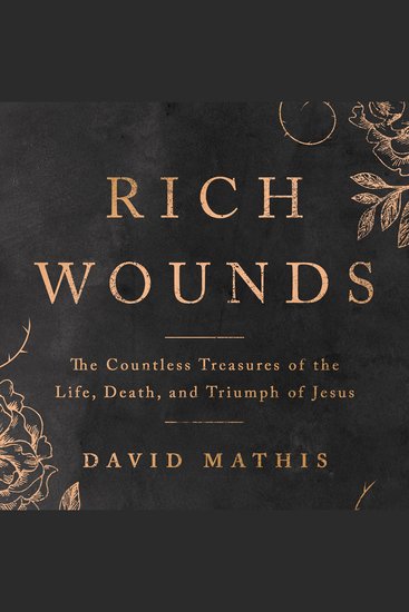 Rich Wounds - The Countless Treasures of the Life Death and Triumph of Jesus - cover
