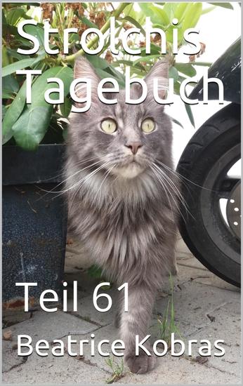 Strolchis Tagebuch - Teil 61 - cover