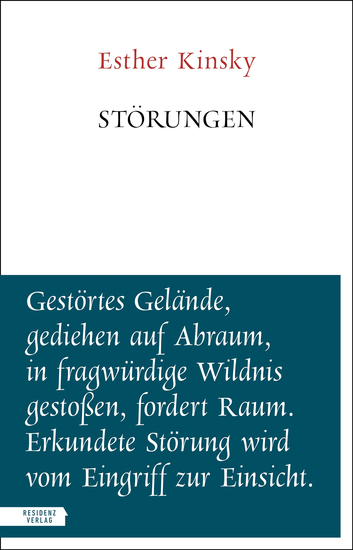 Störungen - cover