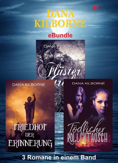 Dana Kilborne ebundle #1 - 3 Romane in einem Band - cover