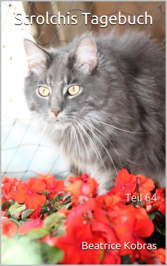 Strolchis Tagebuch - Teil 64 - cover