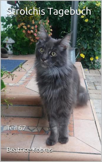 Strolchis Tagebuch - Teil 67 - cover