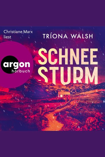 Schneesturm (Ungekürzte Lesung) - cover
